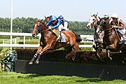 180px-Deauville-Clairefontaine_obstacle_3.jpg