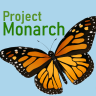 Zershmetterling
