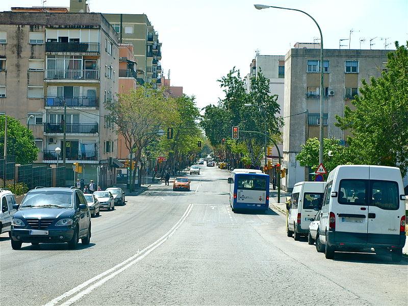 www.mallorcamagazin.com