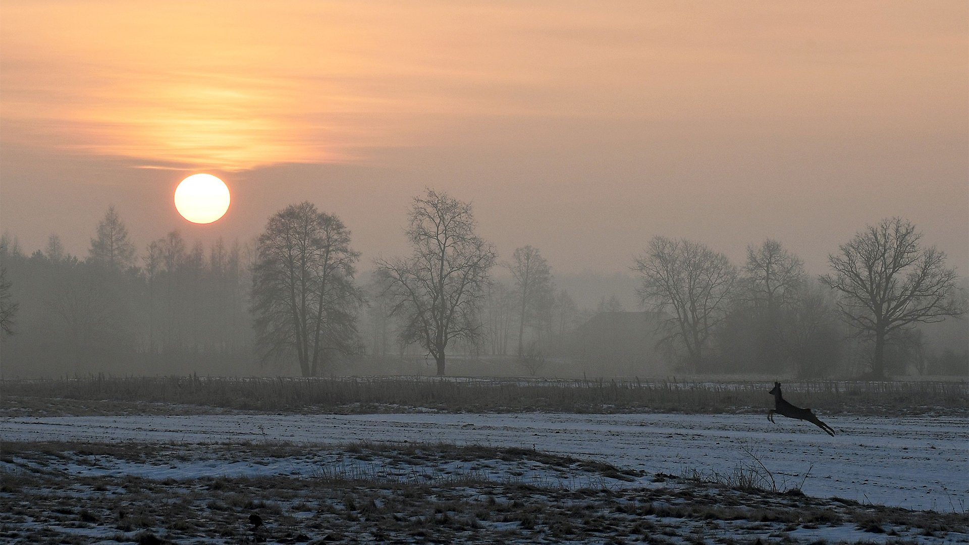 sonnenaufgang-115~_v-videowebl.jpg
