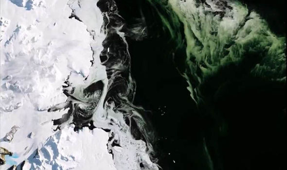 Antarctica-really-is-turning-luminous-green-says-NASA-779141.jpg